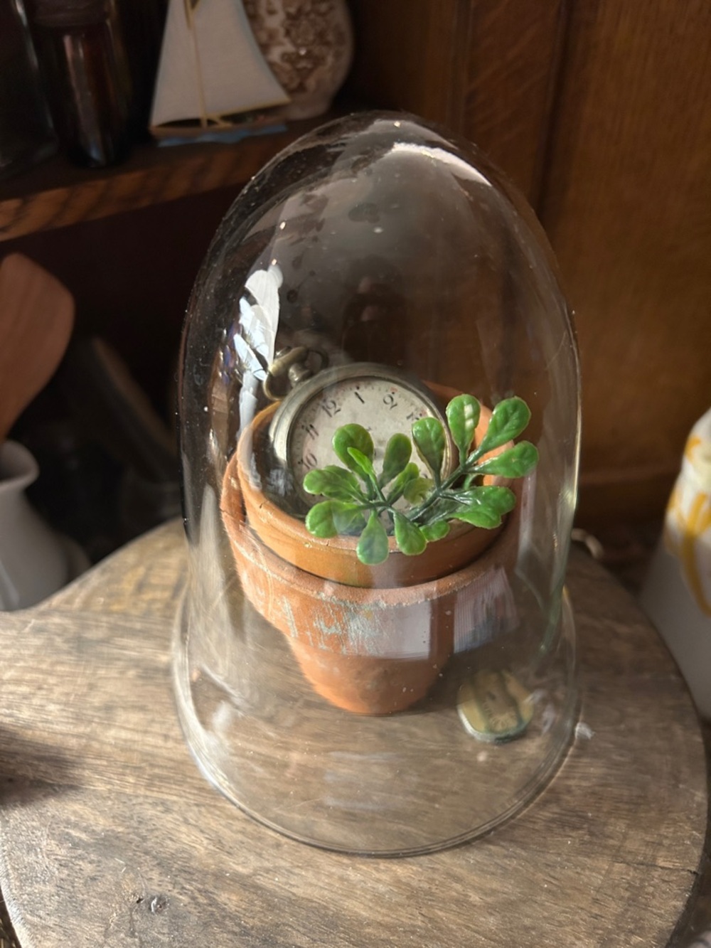 Vintage Terracotta Mini Pots with Glass Cloche and Non-Working Pocketwatch